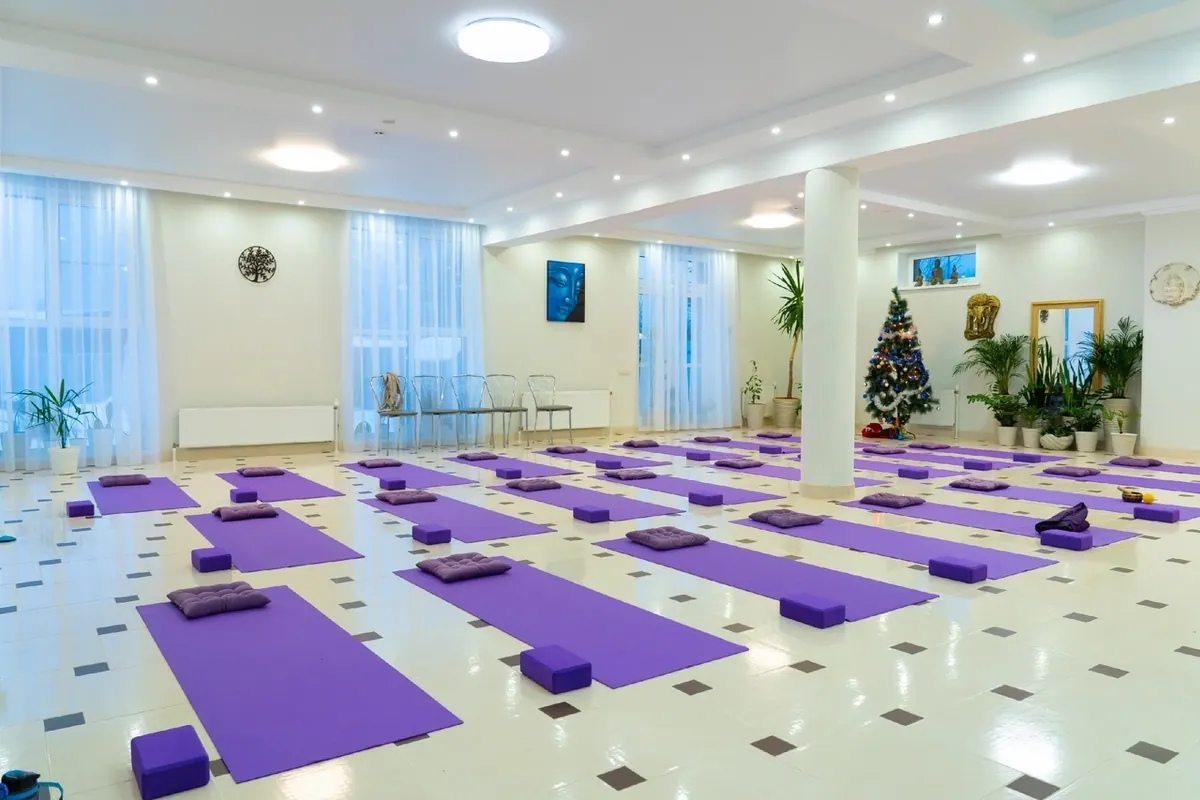 SATTVA: photo 2